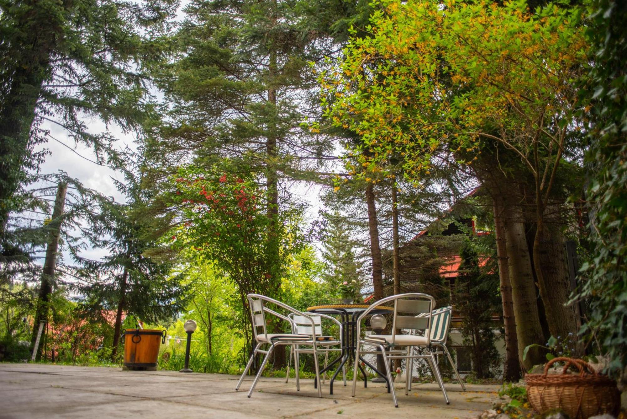 Villa Sara In Sinaia Near Peles & Gondola ภายนอก รูปภาพ